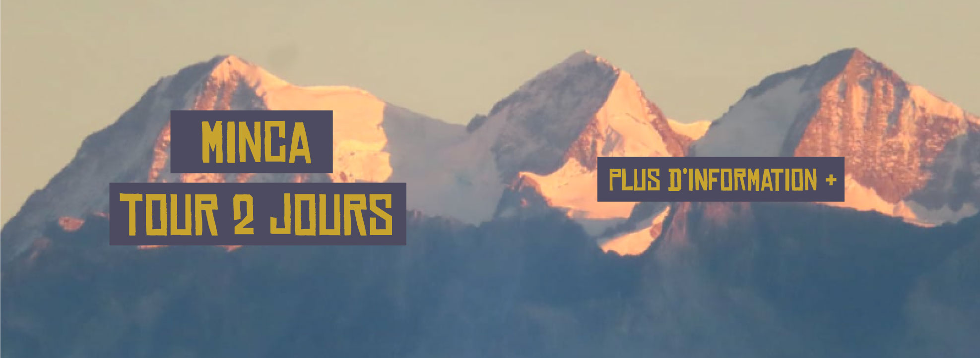 banner-palomino-minca-frances