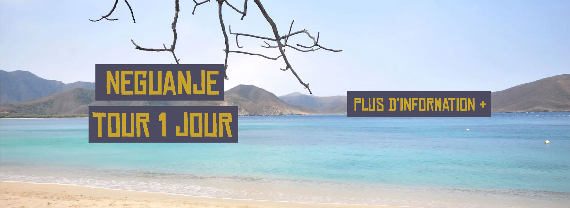 banner-palomino-neguanje-frances