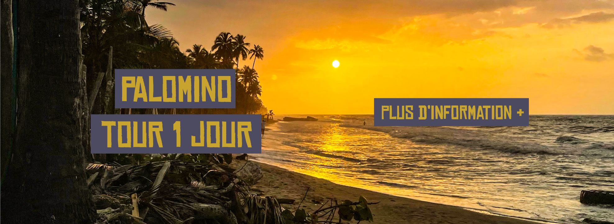 banner-palomino-palomoto-frances