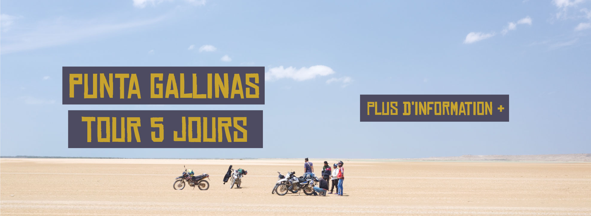 banner-palomino-puntagallinas-frances